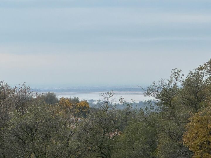 Property Photo:  4095 Raphael Drive  CA 95762 