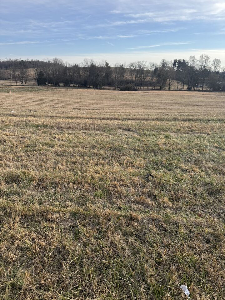 Property Photo:  21 Clay County Hwy  TN 38575 
