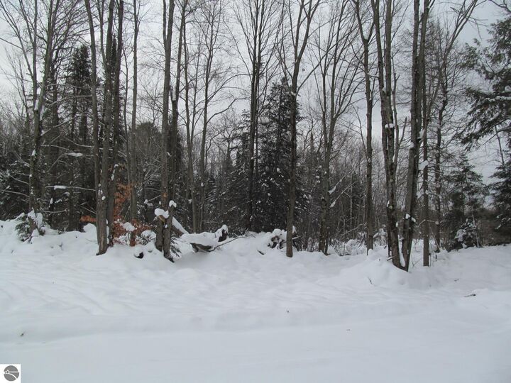 Property Photo:  Corner 13th Street  MI 49601 