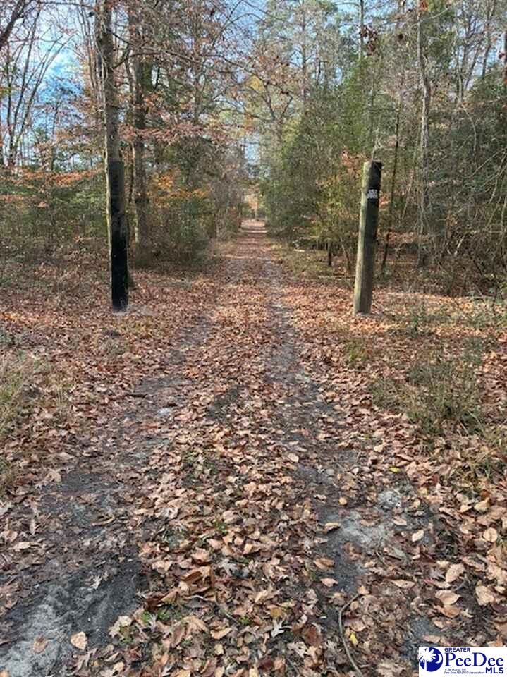 Property Photo:  Tbd Black Creek Road  SC 29501 