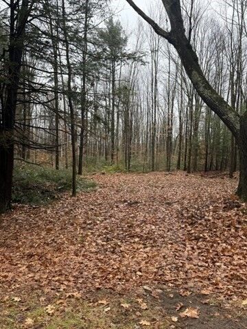 Property Photo:  0 Wendell  Depot Rd  MA 01379 