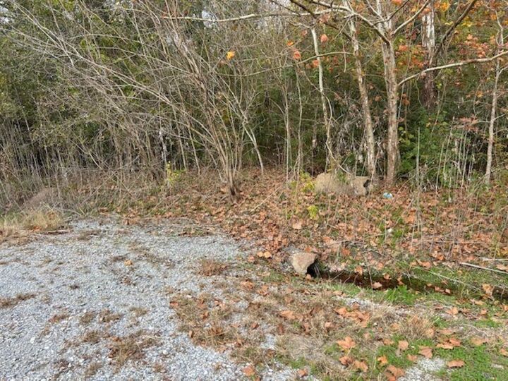 Property Photo: 7828 Mississippi Avenue LA 70646