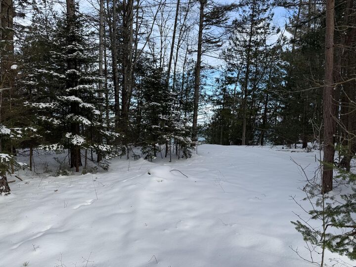 Property Photo: Lot 14 W US 23 Highway MI 49721