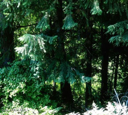 Property Photo:  Nka Tamarack Ridge Rd 1.35 Acres  ID 83810 