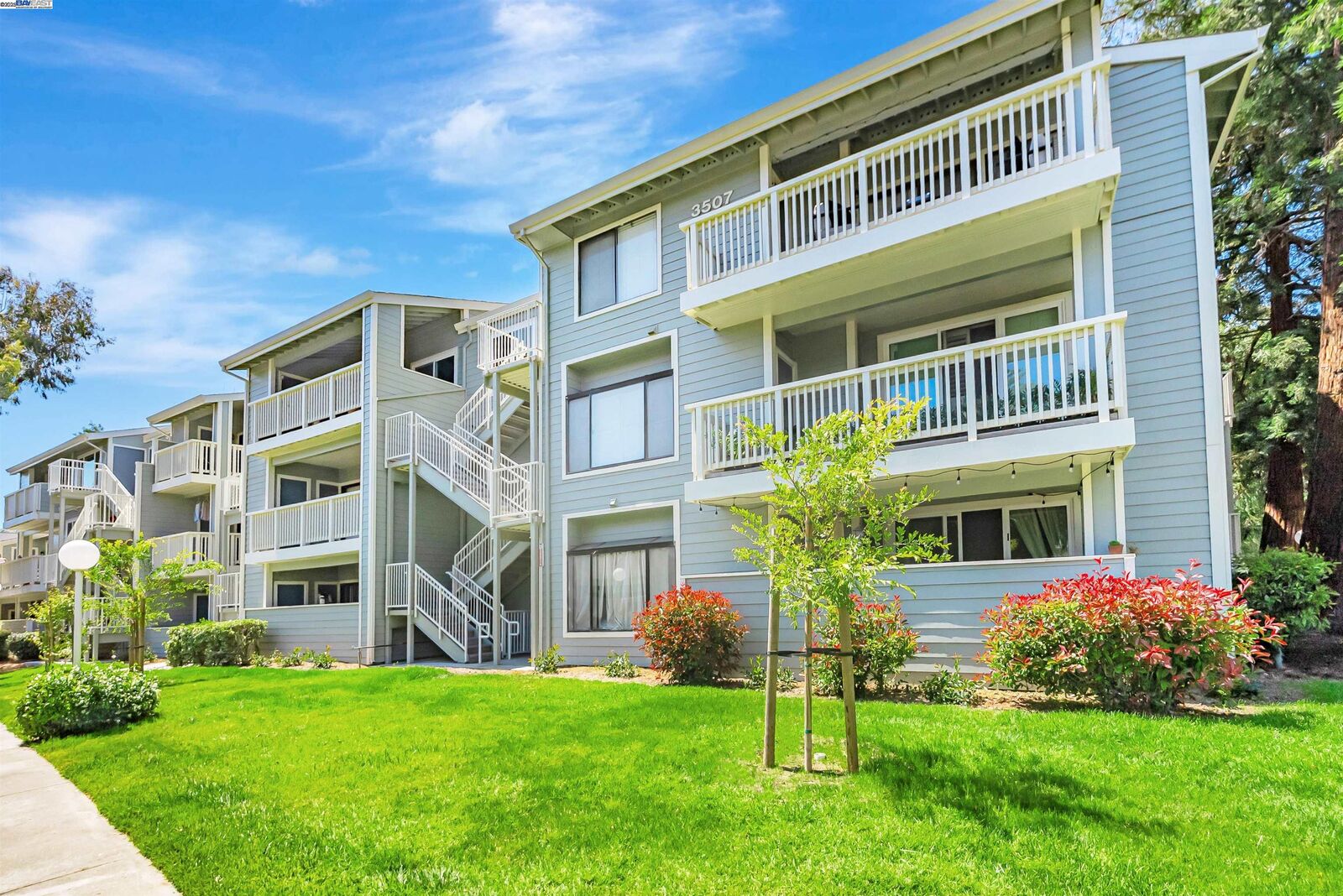 Property Photo:  3507 Buttonwood Ter 203  CA 94536 