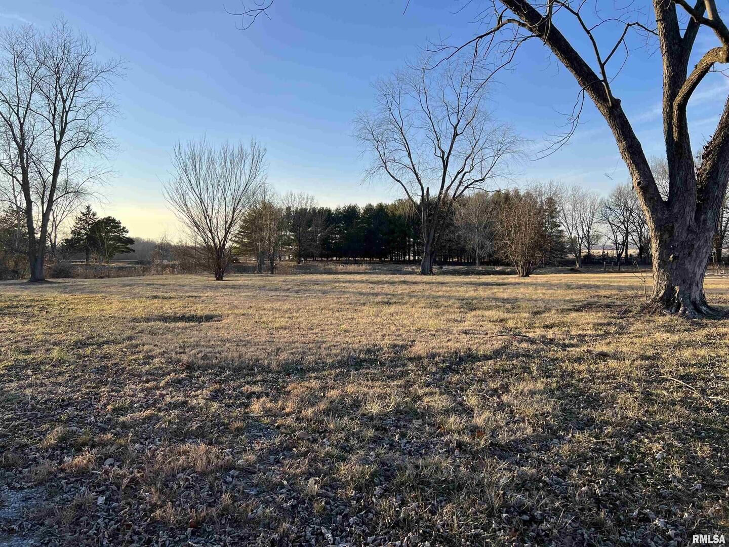 Property Photo: 0 N Reed Station Road IL 62924