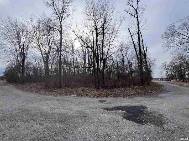 Property Photo: 11 Choctaw Drive IL 62901