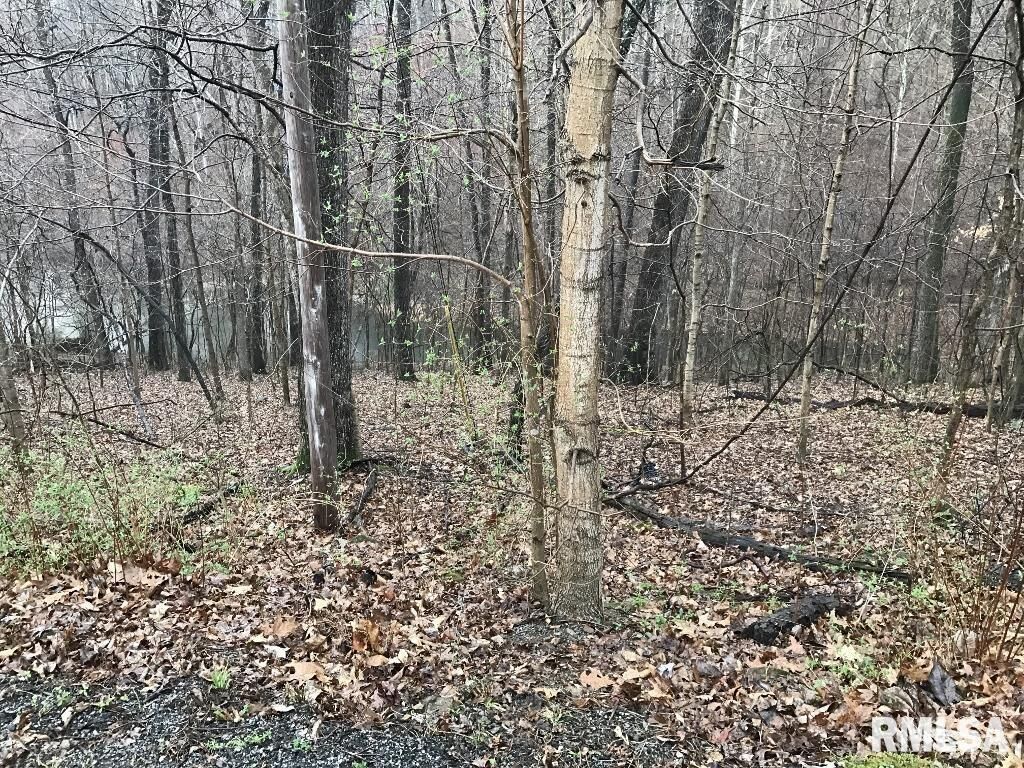 Property Photo: 00 Deer Ridge Road IL 62939