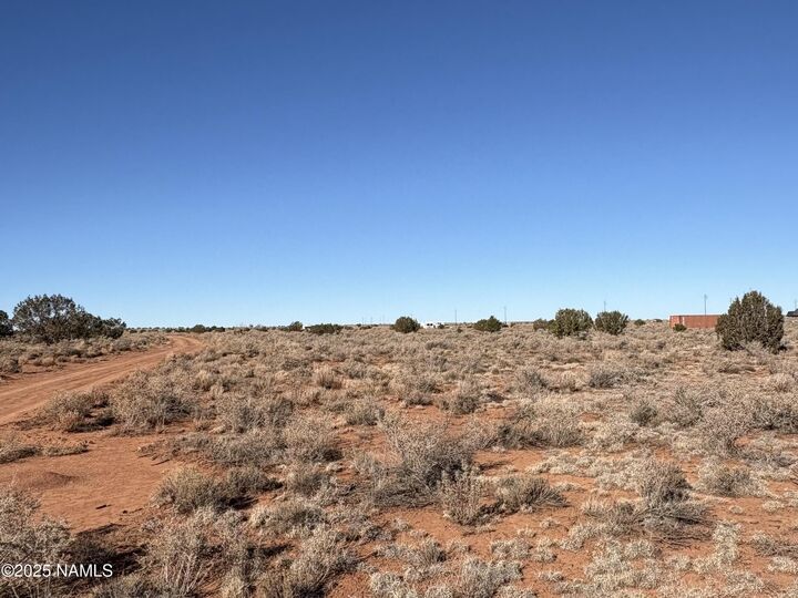 Property Photo:  3155 S Carmen Road  AZ 86046 