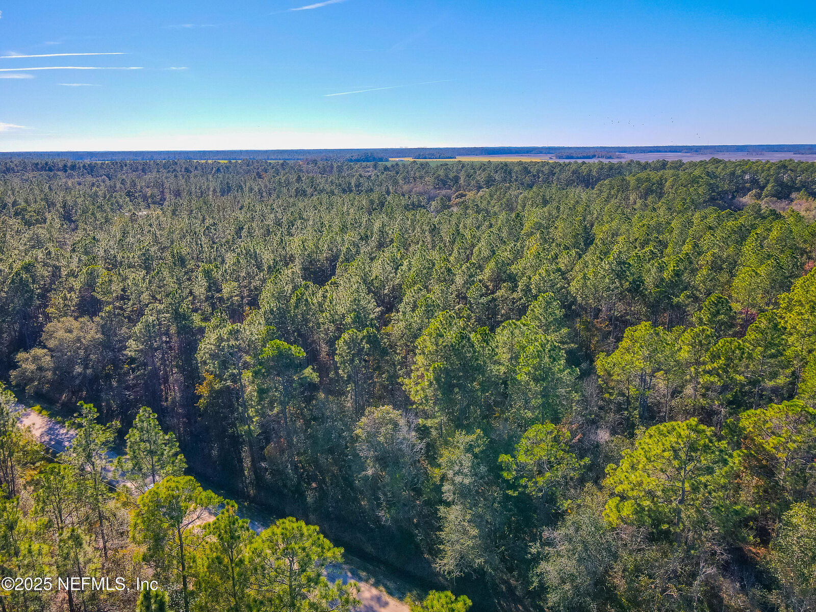 Property Photo:  10265 Flikkema Avenue  FL 32145 