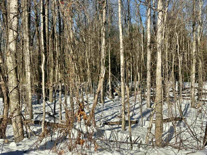 Property Photo: 14 Carpenter Street NH 03301