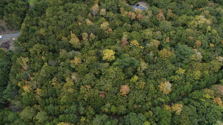 Property Photo:  Lot 56 Ponhook View Drive  NS B0T 1E0 
