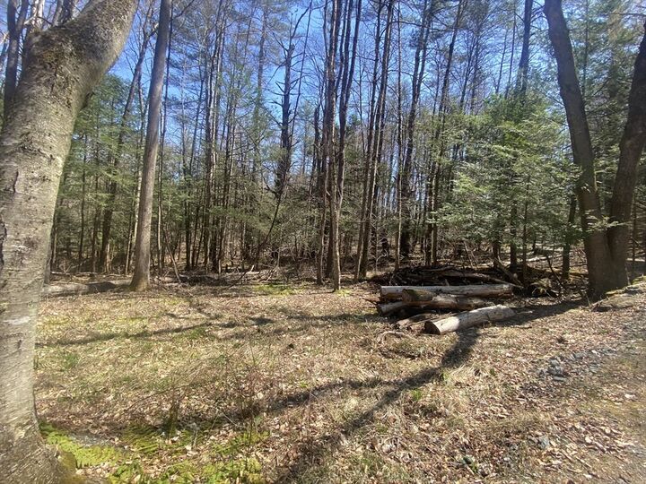 Property Photo:  0 Schaefer Way  MA 01339 