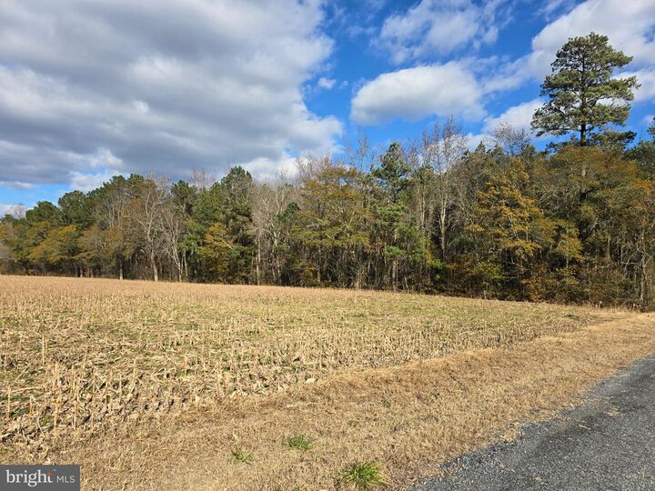 Property Photo: 0 Lot 2 Poplar Neck Road MD 21874