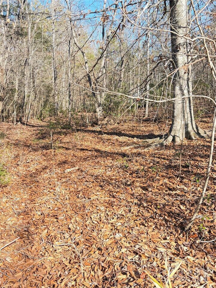 Property Photo:  Lot 49 Harmony Grove Road 49  NC 28761 
