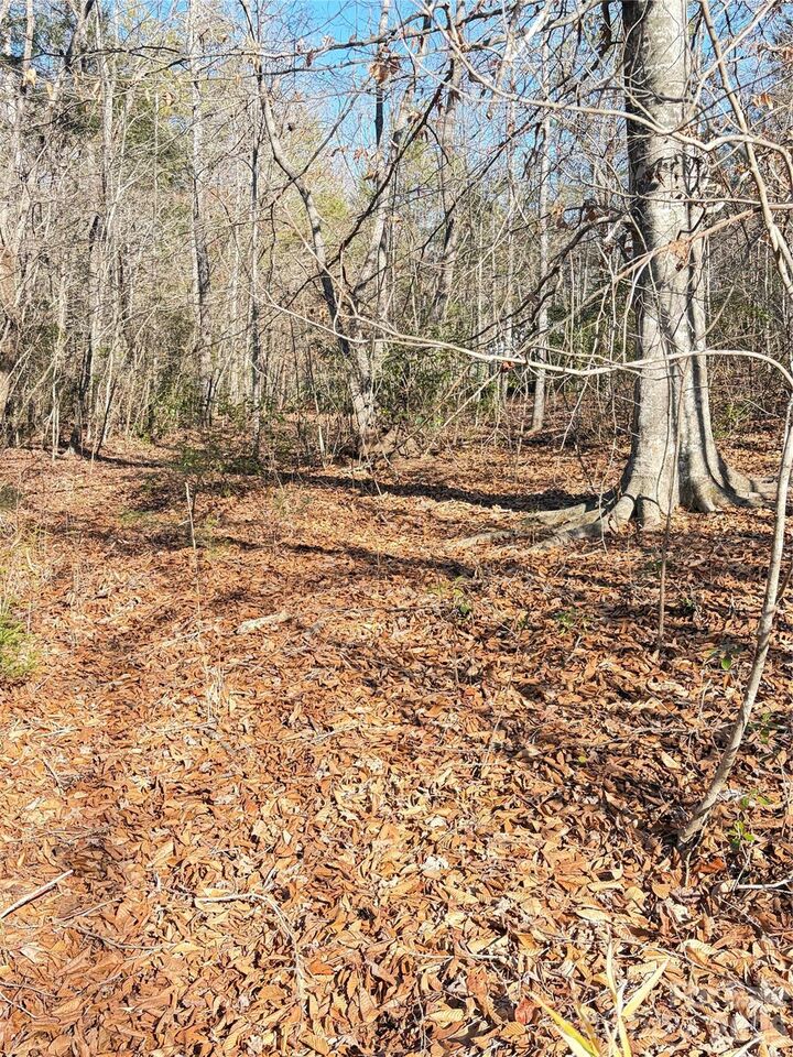 Property Photo:  Lot 49 Harmony Grove Road 49  NC 28761 