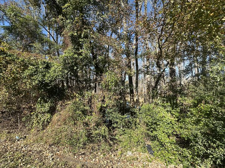 Property Photo:  00 Five Chop Road  SC 29047 