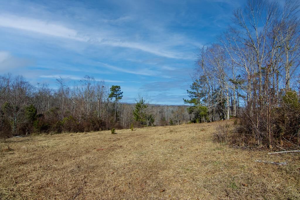 Property Photo:  0 Chestnut Grove Road  GA 31826 