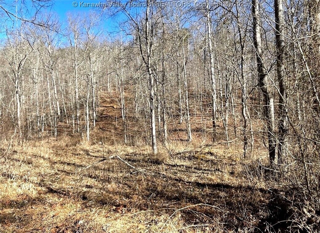 Property Photo: 0 Two Mile Creek Road WV 25570