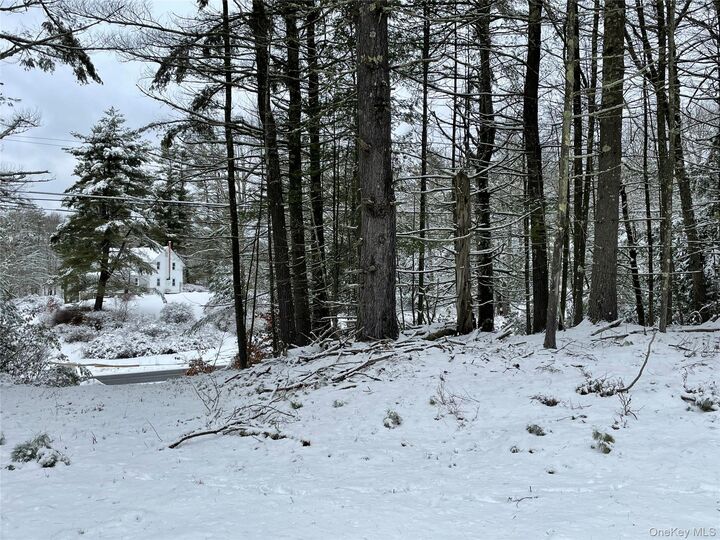 Property Photo:  1315 Sackett Lake Rd  NY 12777 