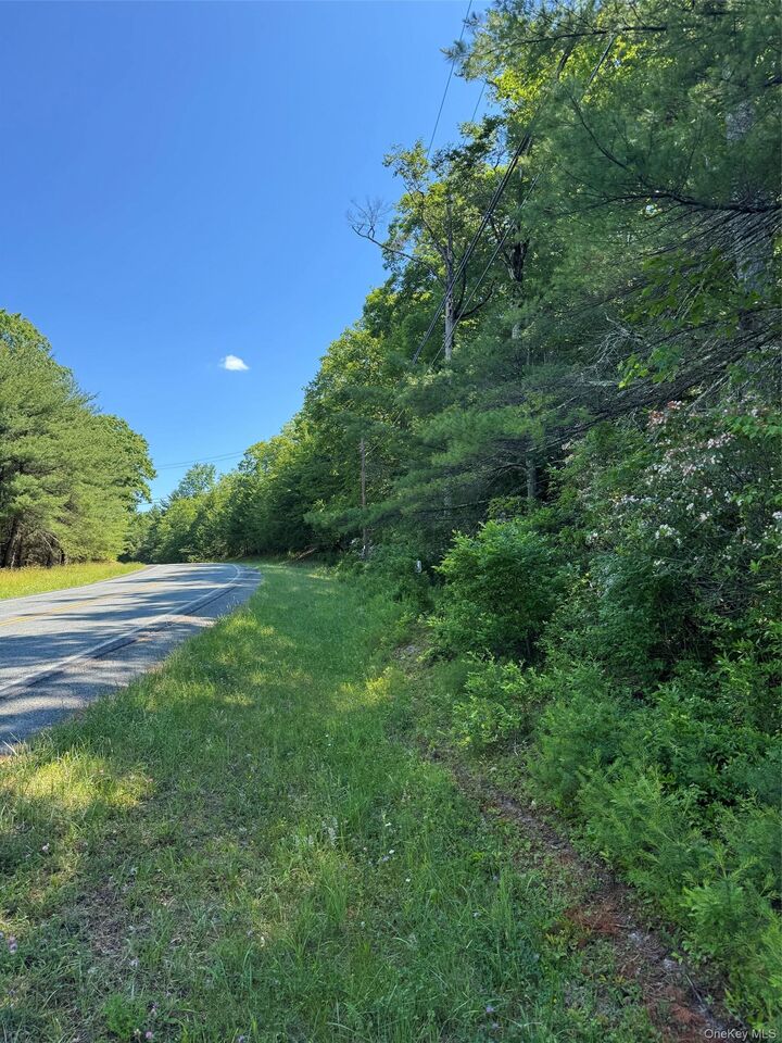 Property Photo:  1315 Sackett Lake Rd  NY 12777 