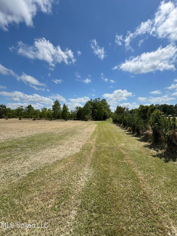 Property Photo:  8485 James Pierce Road  MS 39562 