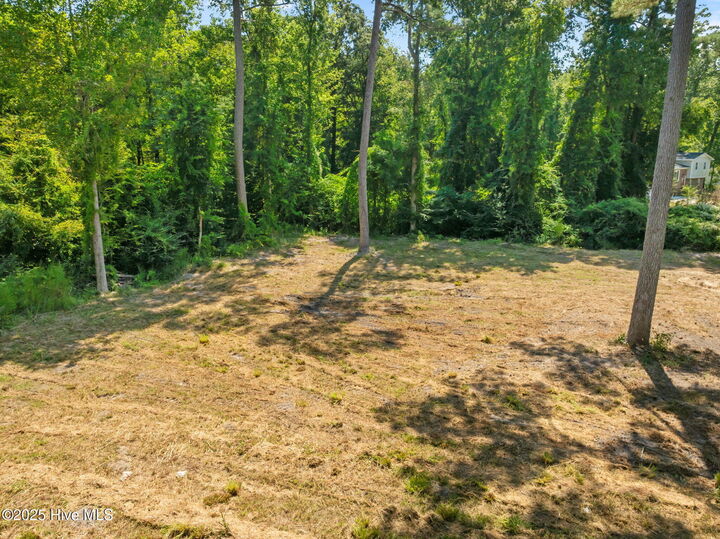 Property Photo: 124 Jupiter Trail NC 28546