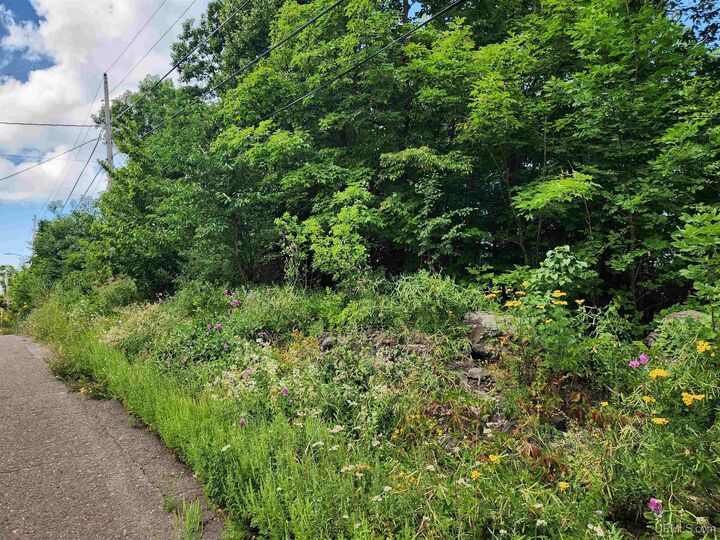 Property Photo:  Tbd 17 Calverley Avenue  MI 49931 