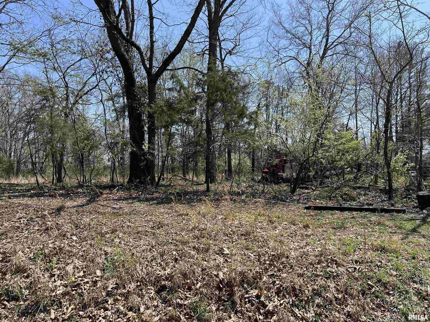 Property Photo:  Lot 442 Thompson Drive  IL 62939 