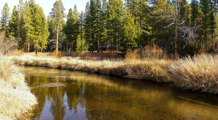 Property Photo:  50910 Masten Road  OR 97739 