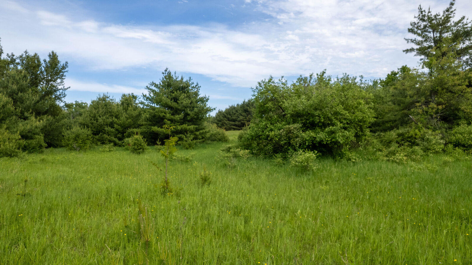 Property Photo: V/L 2 Ac M-68 MI 49759