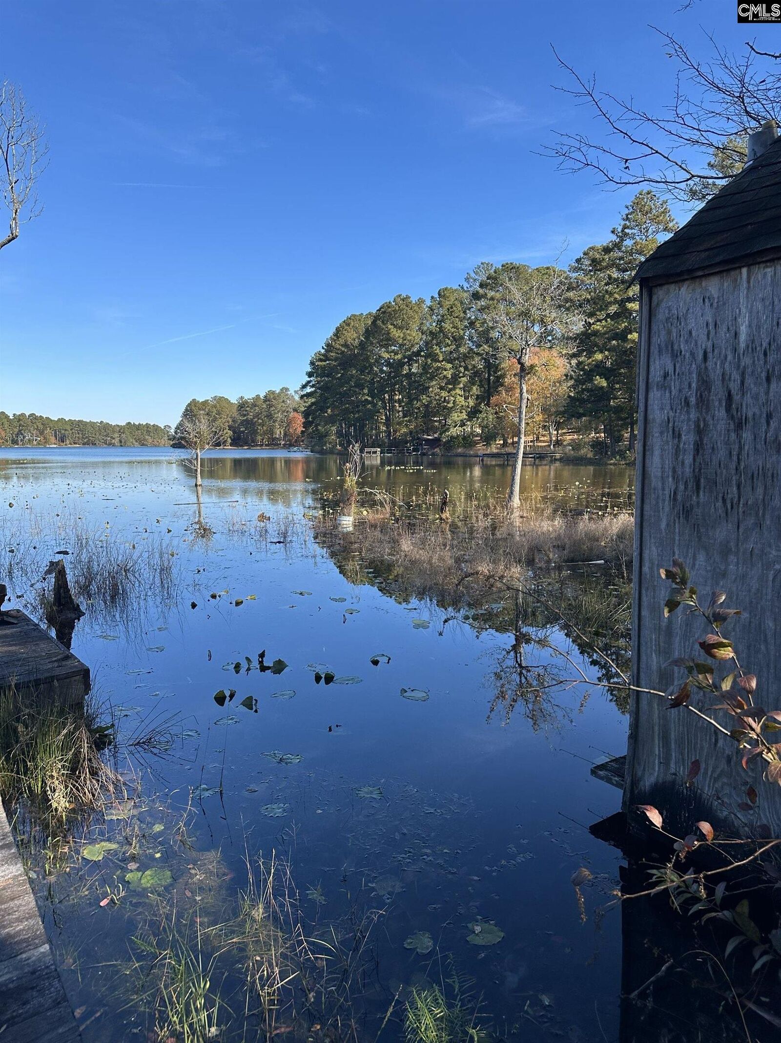 Property Photo:  Lot 39 Edisto Lake  SC 29164 