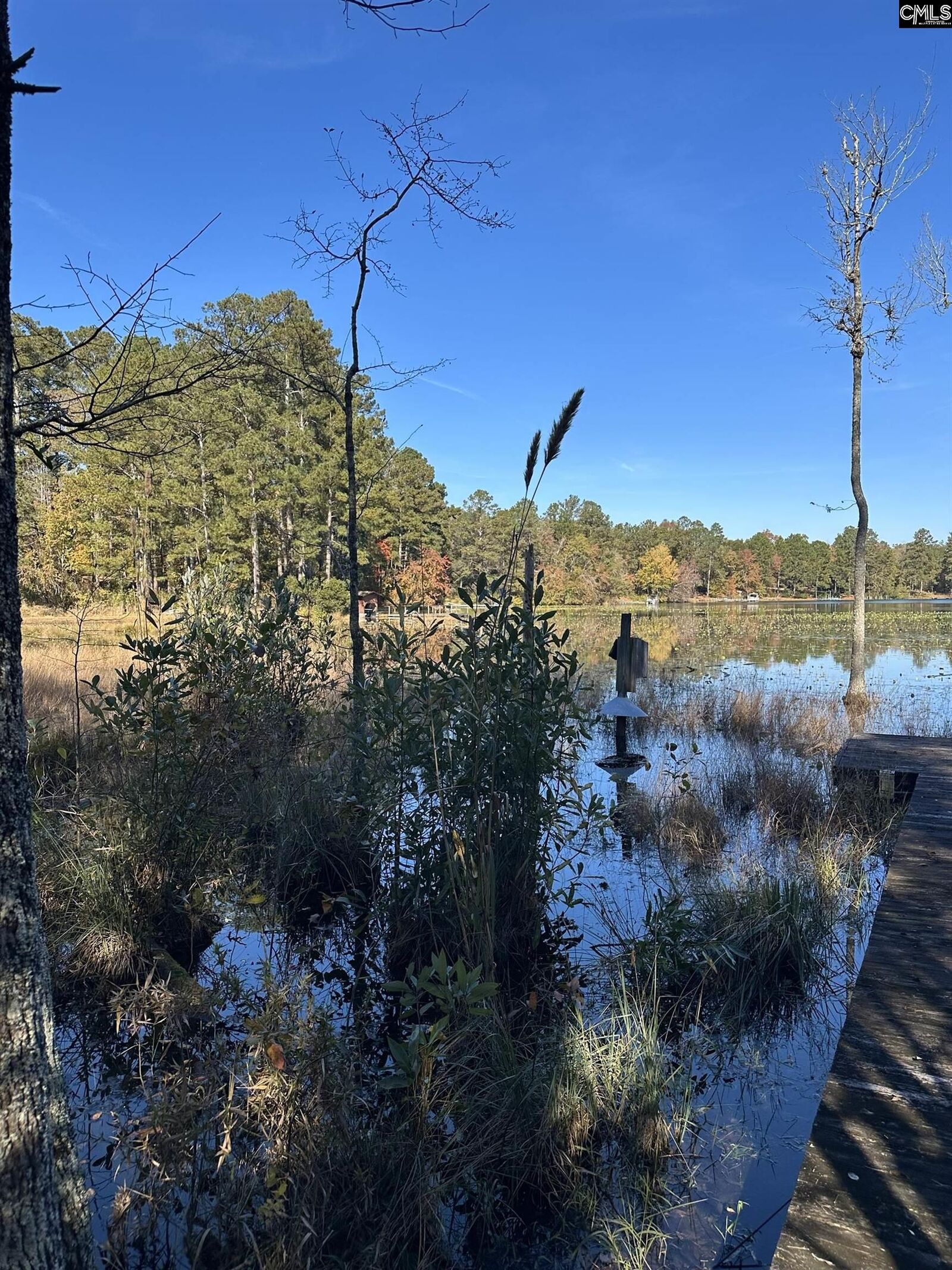 Property Photo:  Lot 39 Edisto Lake  SC 29164 