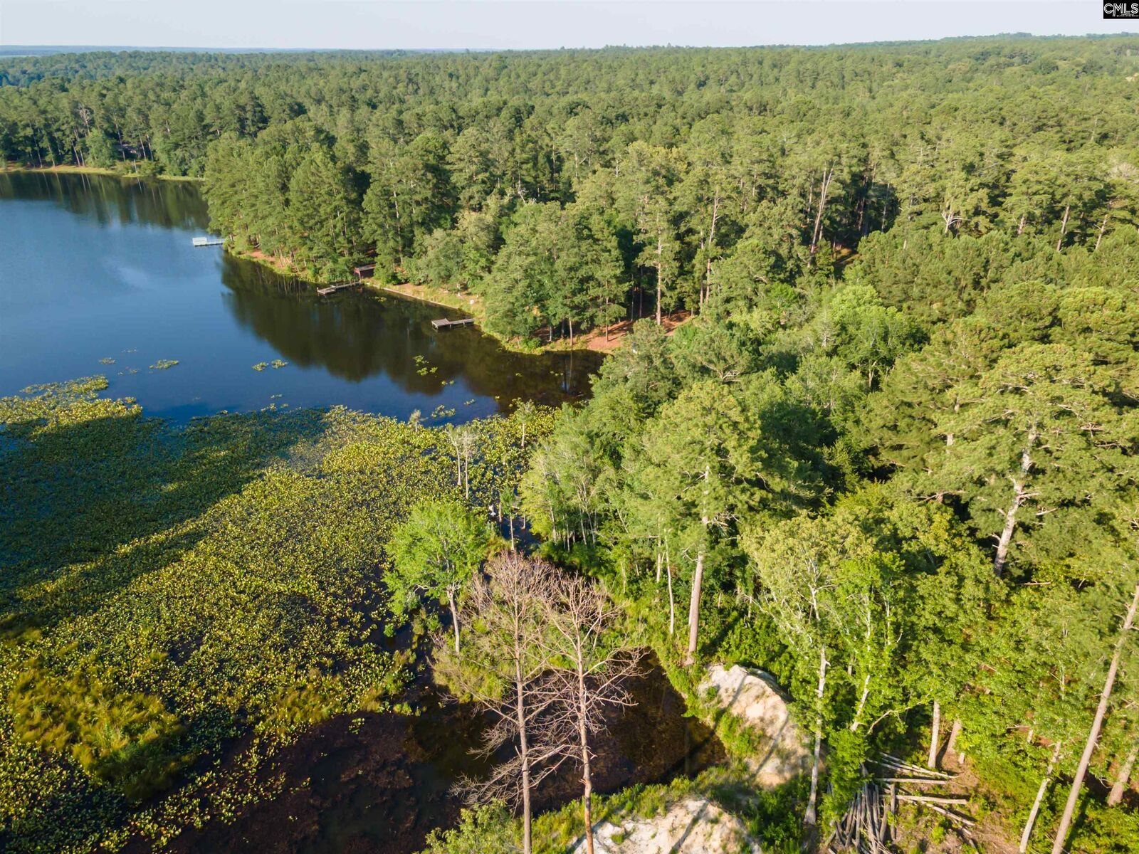 Property Photo:  Lot 39 Edisto Lake  SC 29164 