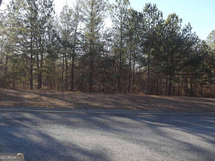 Property Photo: Lot 10 Sunset Loop GA 30125