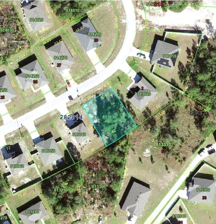 Property Photo: 243 Gladiola Court FL 34759