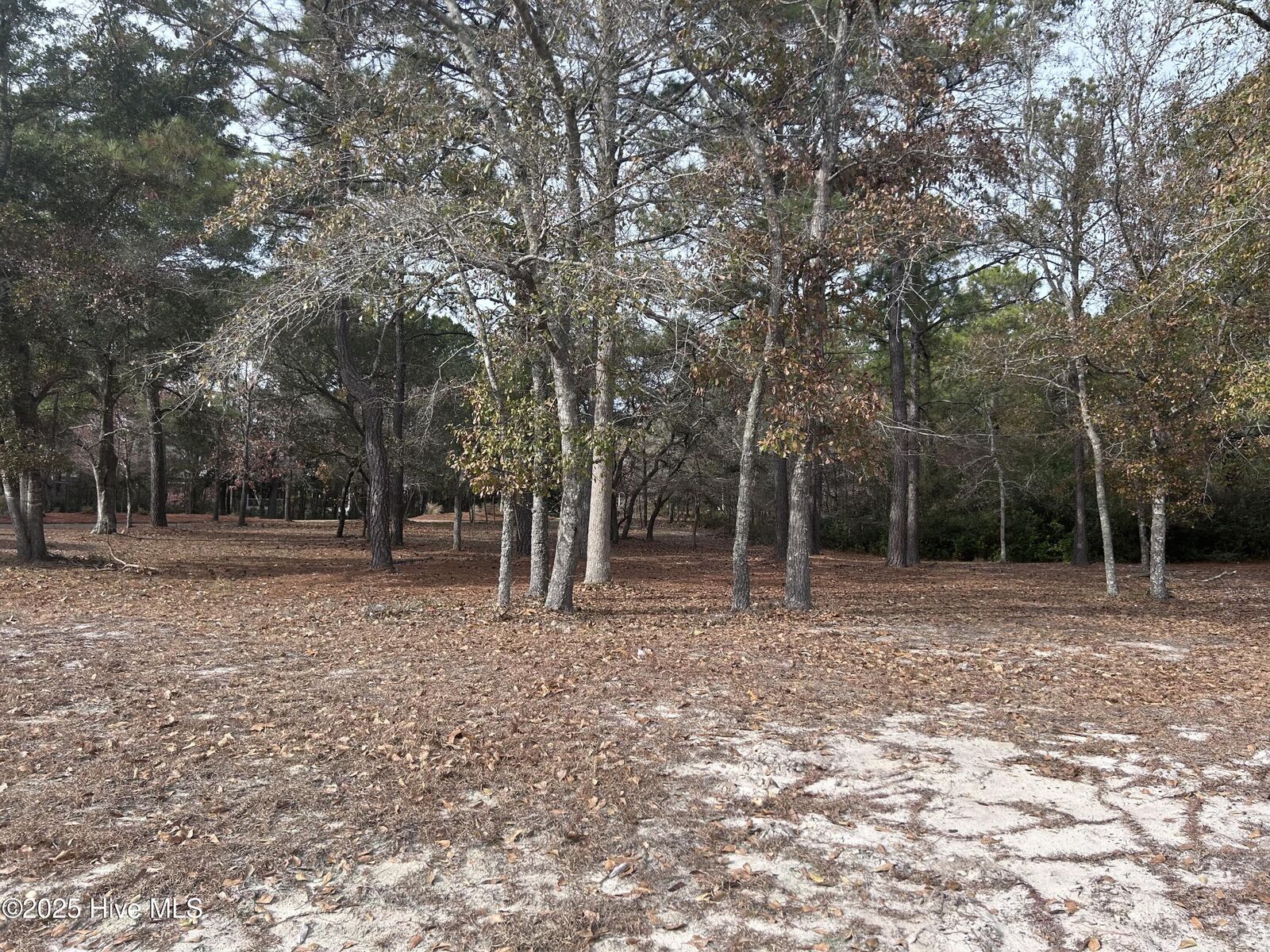 Property Photo:  320 Blounts Bay Court SE  NC 28422 