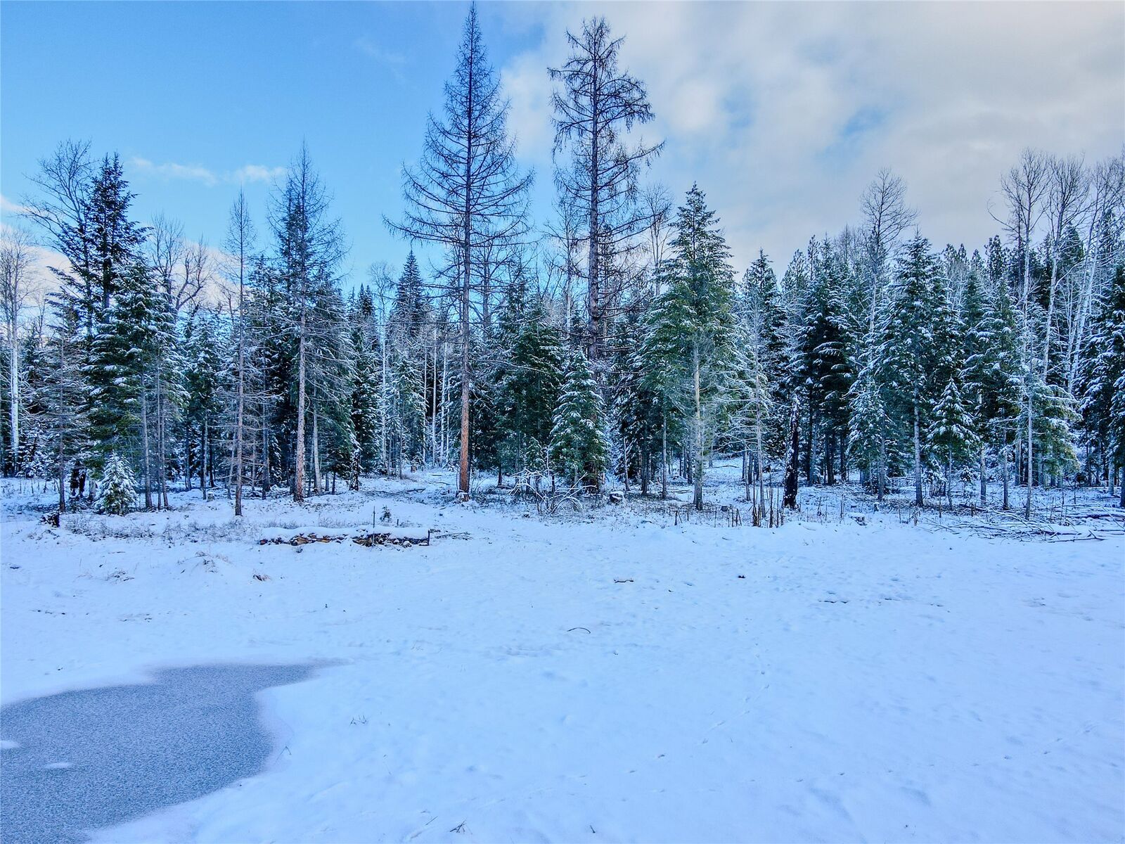 Property Photo:  Lot 2D Liberty Lane  MT 59923 