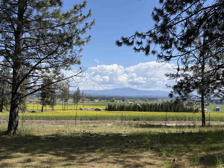 Property Photo: 5418 B S Wallbridge Rd 5418 S Wallbridge Rd WA 99006