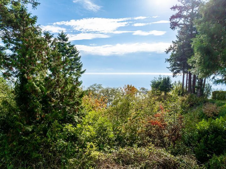 Property Photo: 13536 13A Avenue BC V4A 1C4