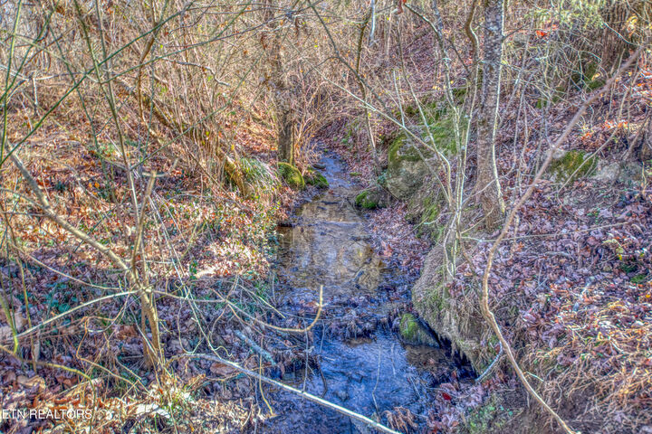 Property Photo:  Lot 2 Burnett Station Rd  TN 37865 