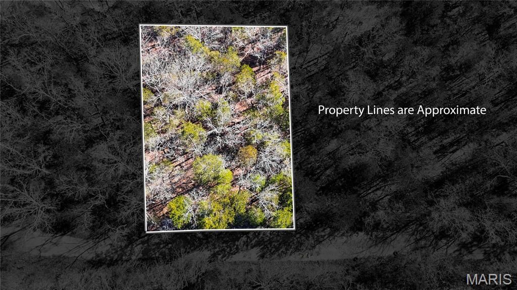 Property Photo:  10314 Lake Hill Trail  MO 63050 