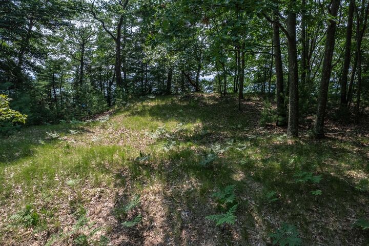 Property Photo: 0 S Montgomery Boulevard MI 49449