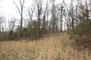 Property Photo:  Lot 24 Dogwood Drive  AR 72662 