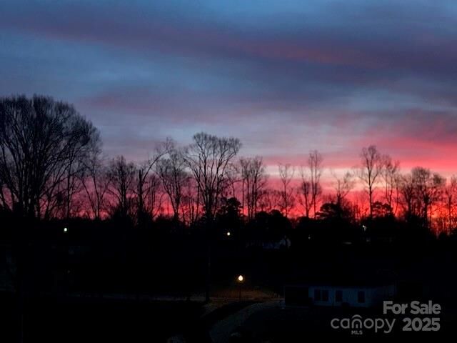 Property Photo:  2024 Hyacinth Court  NC 28037 