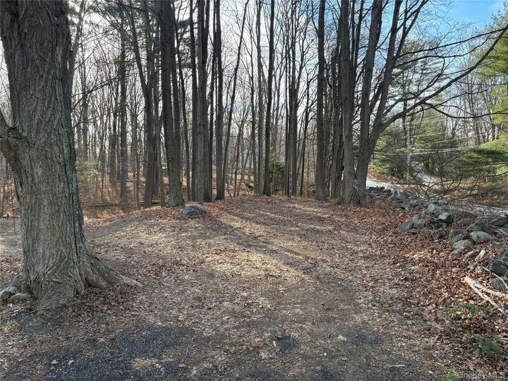 Property Photo:  Salem Road  NY 10576 