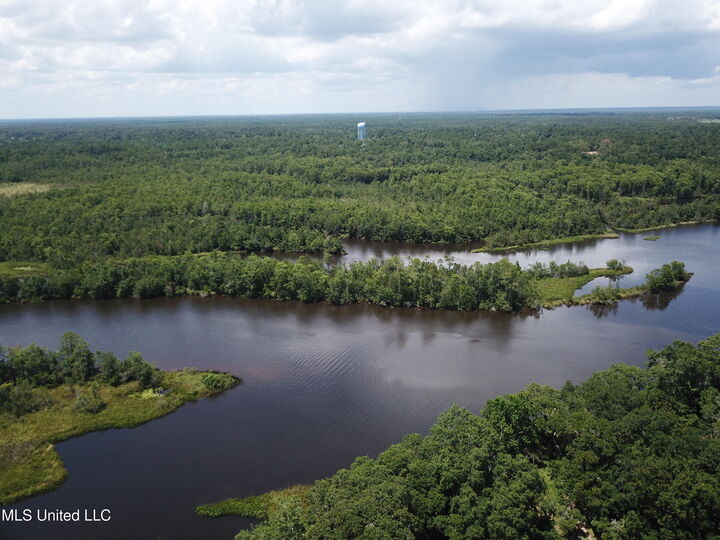 Property Photo:  113 Acres Moragas Lane  MS 39556 