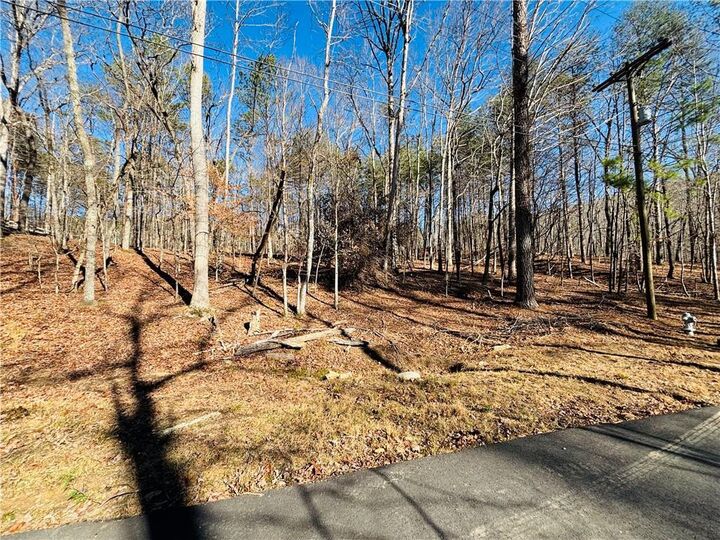 Property Photo:  111 Fox Oak Court  GA 30183 