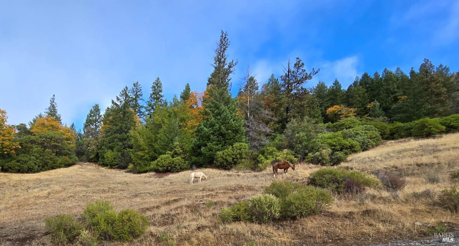 Property Photo:  32120 Shimmins Ridge Road  CA 95490 