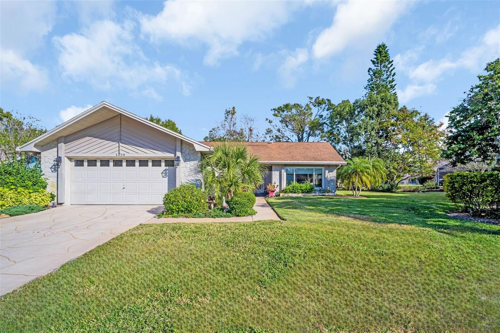 Property Photo:  1658 Macdonnell Court  FL 34684 